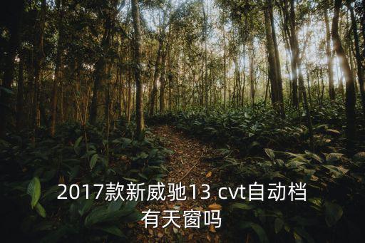 2017款新威馳13 cvt自動檔有天窗嗎