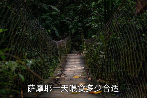 薩摩耶2周歲每天喂多少狗糧，薩摩耶一天喂食多少合適