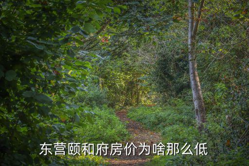 東營頤和府房價為啥那么低