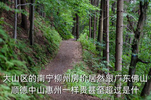 大山區(qū)的南寧柳州房價(jià)居然跟廣東佛山順德中山惠州一樣貴甚至超過是什