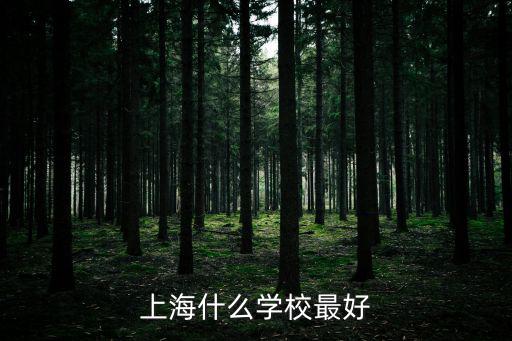 上海什么學校最好