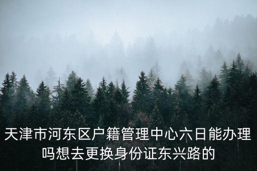 天津市可以周六日辦理身份證嗎，天津周六日可以辦身份證嗎