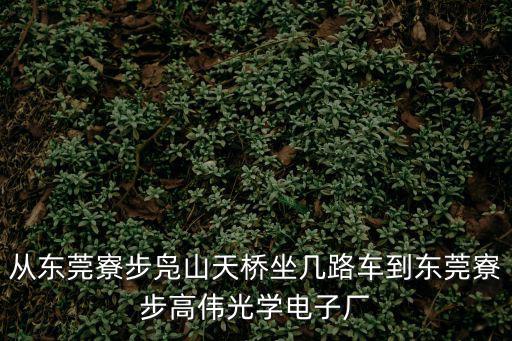 從東莞寮步鳧山天橋坐幾路車到東莞寮步高偉光學電子廠