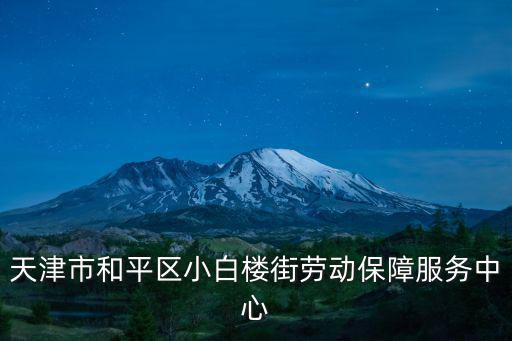 天津市和平區小白樓街勞動保障服務中心