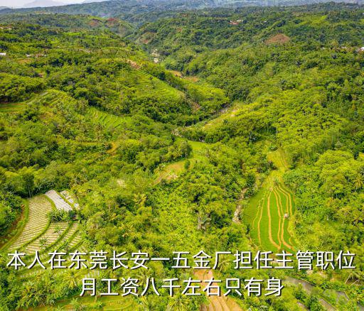 本人在東莞長安一五金廠擔任主管職位月工資八千左右只有身