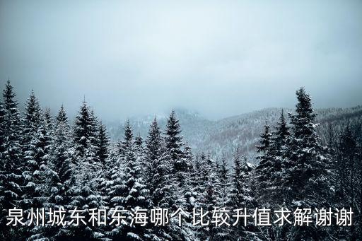 泉州城東和東海哪個比較升值求解謝謝