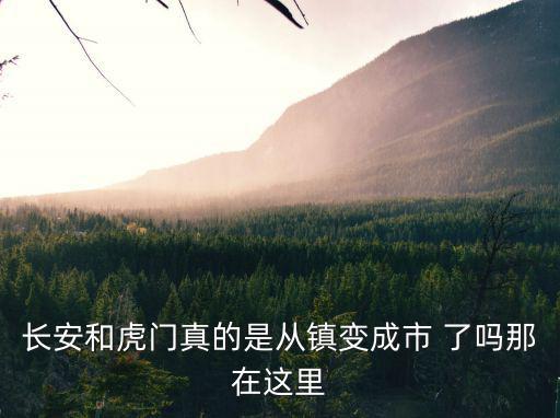 長安和虎門真的是從鎮(zhèn)變成市 了嗎那在這里