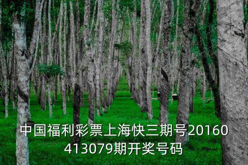 中國福利彩票上海快三期號20160413079期開獎號碼