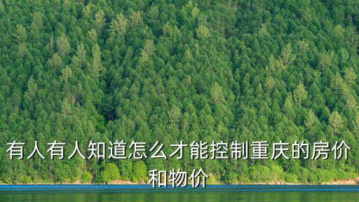 有人有人知道怎么才能控制重慶的房價和物價