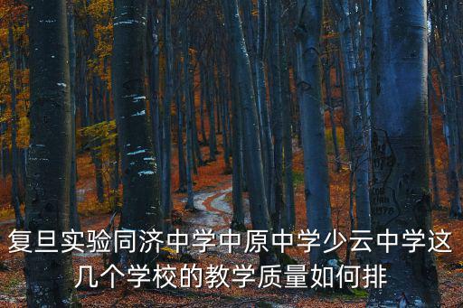 復(fù)旦實驗同濟中學中原中學少云中學這幾個學校的教學質(zhì)量如何排