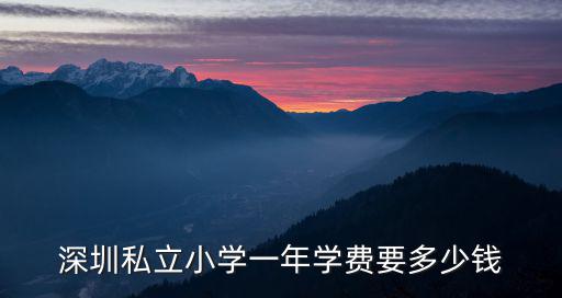 深圳私立小學(xué)一年學(xué)費(fèi)要多少錢(qián)