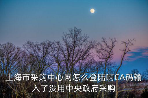 上海市采購中心網(wǎng)怎么登陸啊CA碼輸入了沒用中央政府采購
