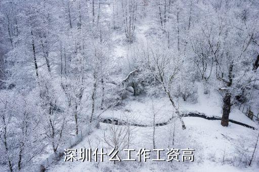 深圳什么工作工資高