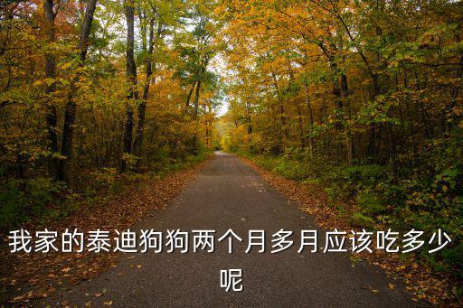 泰迪兩個半月吃多少，我家的泰迪狗狗兩個月多月應該吃多少呢