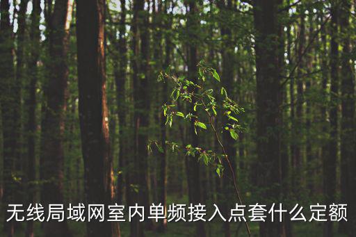 無線局域網(wǎng)室內(nèi)單頻接入點(diǎn)套什么定額