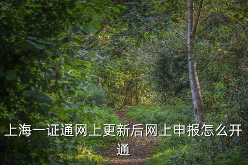上海一證通網上更新后網上申報怎么開通