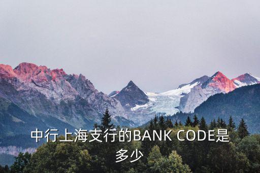 中行上海支行的BANK CODE是多少
