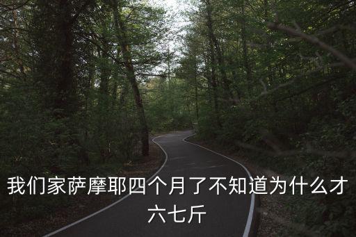 我們家薩摩耶四個月了不知道為什么才六七斤