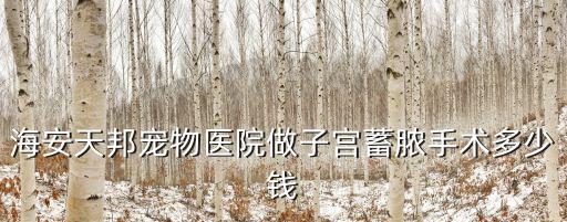 子宮蓄膿需要多少錢，子宮發炎大概要多少錢來治療
