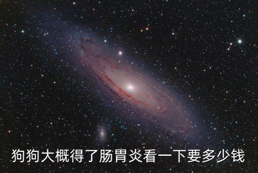 狗狗腸胃炎打針多少錢，請問狗狗打腸胃炎的針須要多少錢啊