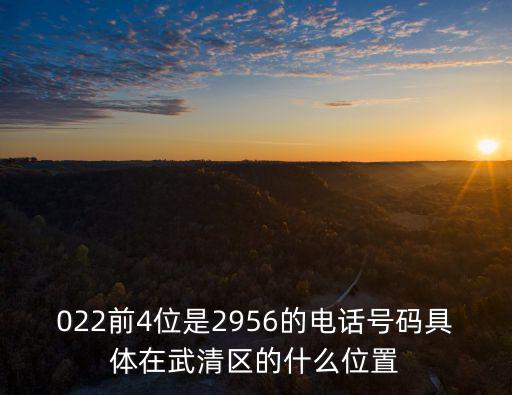 022前4位是2956的電話號碼具體在武清區的什么位置