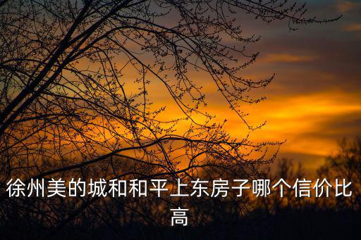 徐州美的城和和平上東房子哪個(gè)信價(jià)比高