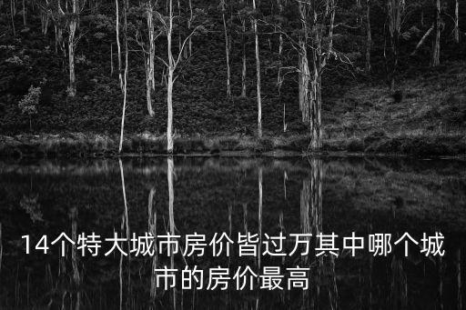 14個特大城市房價皆過萬其中哪個城市的房價最高
