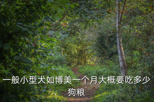 一般小型犬如博美一個月大概要吃多少狗糧