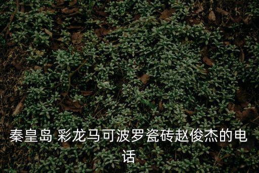 秦皇島 彩龍馬可波羅瓷磚趙俊杰的電話
