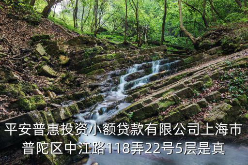 平安普惠投資小額貸款有限公司上海市普陀區中江路118弄22號5層是真
