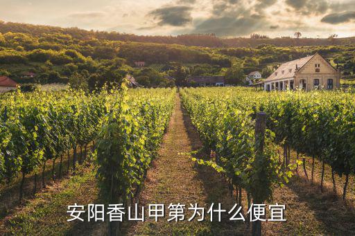 安陽市哪個區域房價最便宜，安陽文峰區房價
