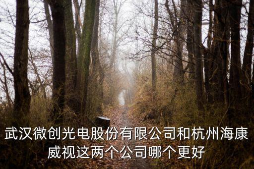 海康威視武漢分公司怎么樣，武漢微創(chuàng)光電股份有限公司和杭州海康威視這兩個(gè)公司哪個(gè)更好