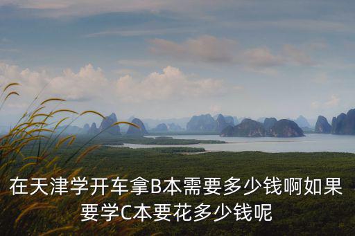 在天津?qū)W開車拿B本需要多少錢啊如果要學(xué)C本要花多少錢呢