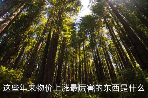 這些年來(lái)物價(jià)上漲最厲害的東西是什么