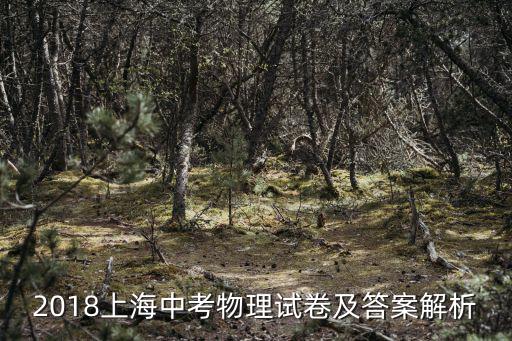 2018上海中考物理試卷及答案解析