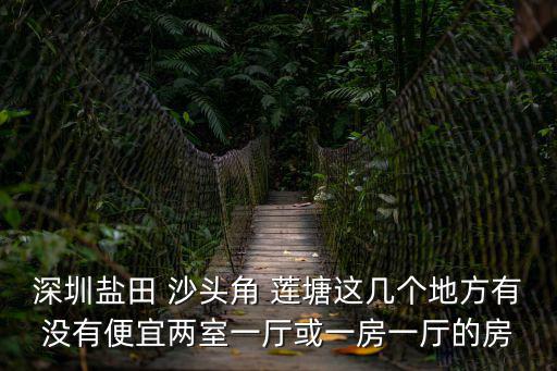 深圳鹽田 沙頭角 蓮塘這幾個地方有沒有便宜兩室一廳或一房一廳的房