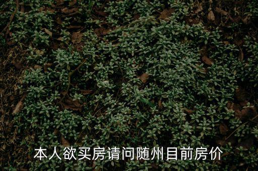 本人欲買房請問隨州目前房價