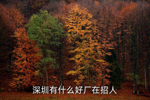 深圳有什么好廠在招人
