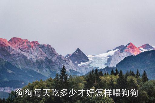 狗狗每天吃多少才好怎樣喂狗狗