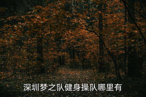 深圳夢之隊健身操隊哪里有