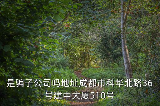 是騙子公司嗎地址成都市科華北路36號建中大廈510號