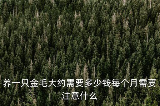 養一只金毛大約需要多少錢每個月需要注意什么