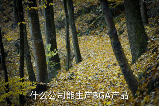 什么公司能生產BGA產品