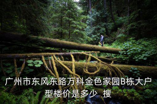 廣州市東風東路萬科金色家園B棟大戶型樓價是多少  搜