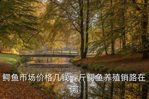 一只鱷魚能賣多少錢，現在越來越多的人喜歡養小鱷魚小鱷魚多少錢一只呢