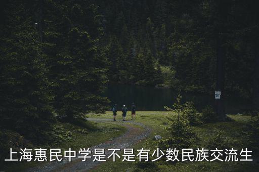 上海市惠民中學北校區，上海建平西校進才實驗和進才北校哪個好急在線等