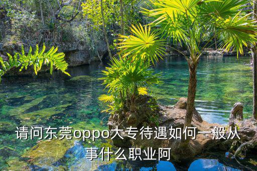 請問東莞oppo大專待遇如何一般從事什么職業阿