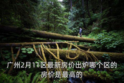 廣州2月11區最新房價出爐哪個區的房價是最高的