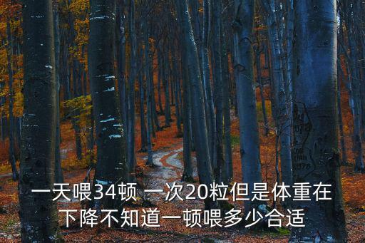 一天喂34頓 一次20粒但是體重在下降不知道一頓喂多少合適