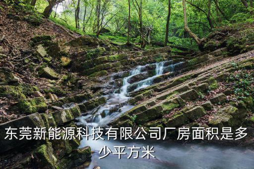 東莞新能源科技有限公司廠房面積是多少平方米
